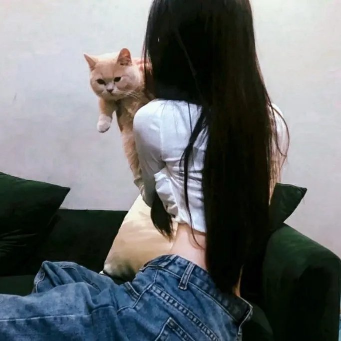 红翼行动